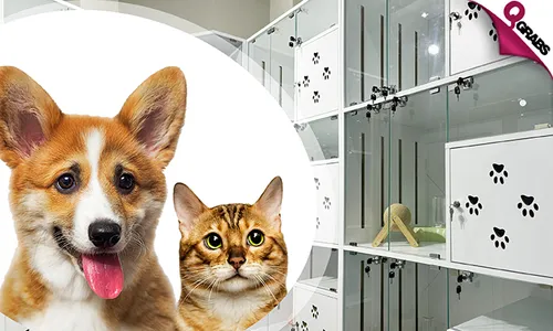 15-Day Pet Boarding for Cats & Dogs!